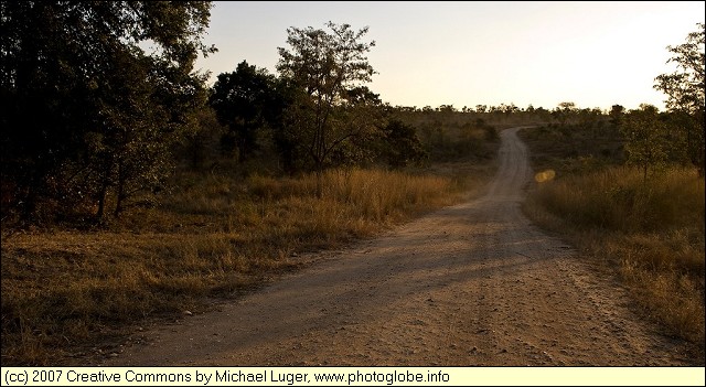The Road to Matjulu